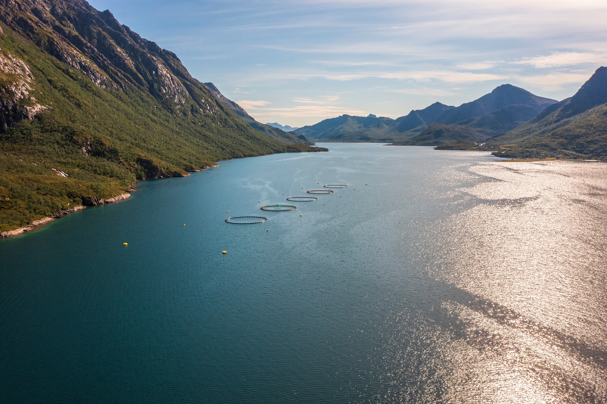 Vesterålen Havbruk A/S | Myre