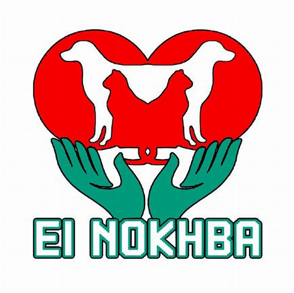 عيادة النخبة البيطرية التخصصية Elnokhba Veterinary Clinic Photos Facebook