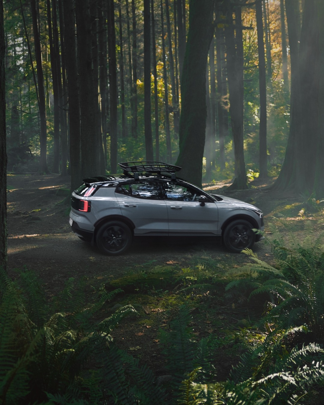 Volvo - 【エクステリアのワンポイントに】 スウェーデン国旗を