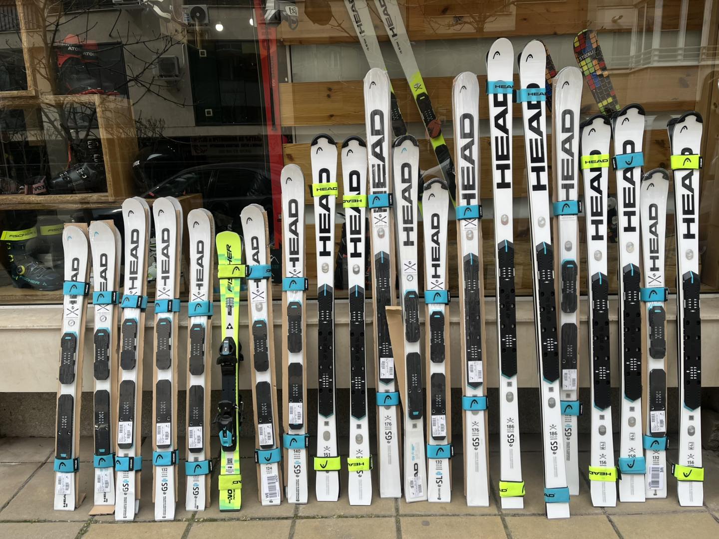 Head worldcup Rebels fis