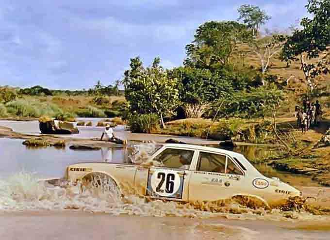 Rally Al Taco