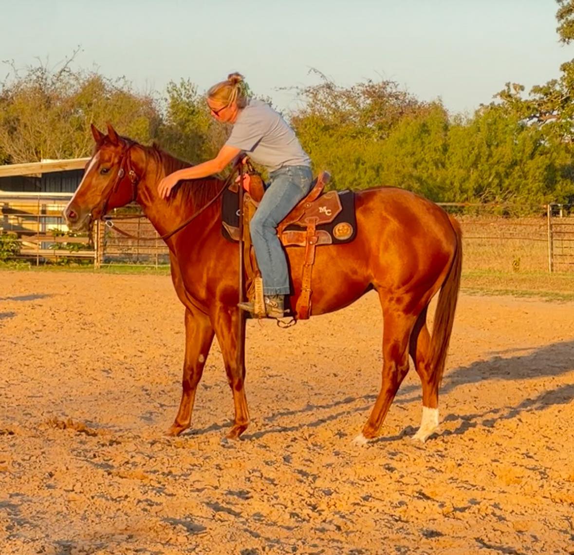 Sharp Performance Horses