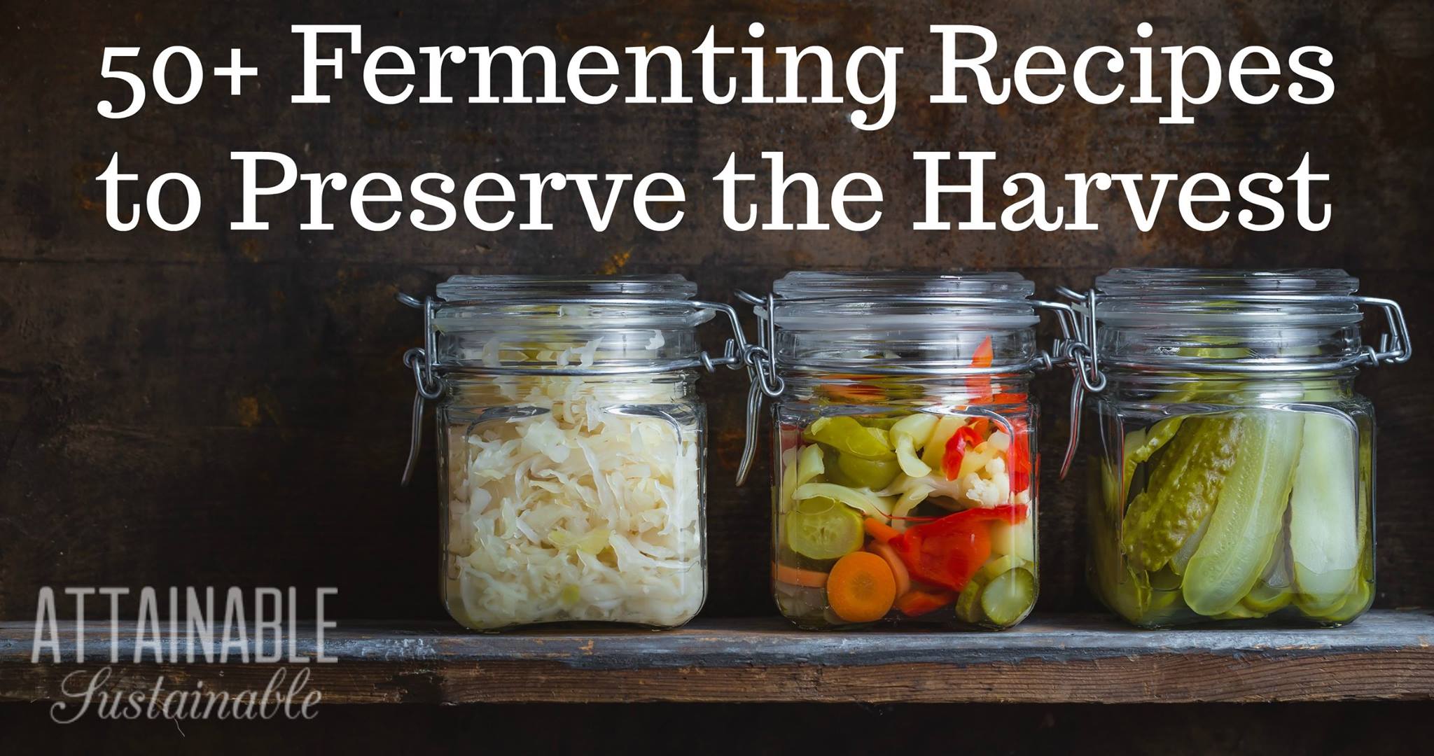 Here is an awesome fermenting... - Grow Forage Cook Ferment