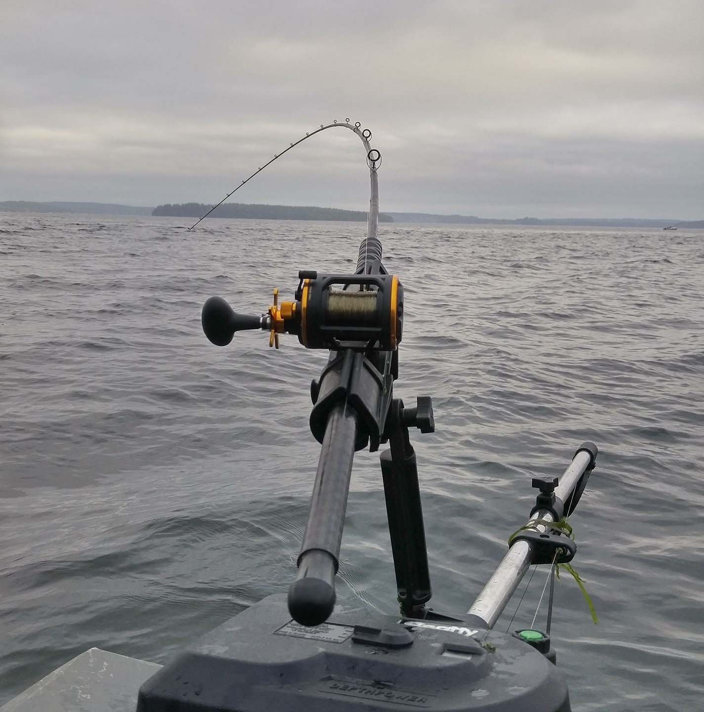 Has anyone used the Folbe rod holders? What do you guys think of it ...