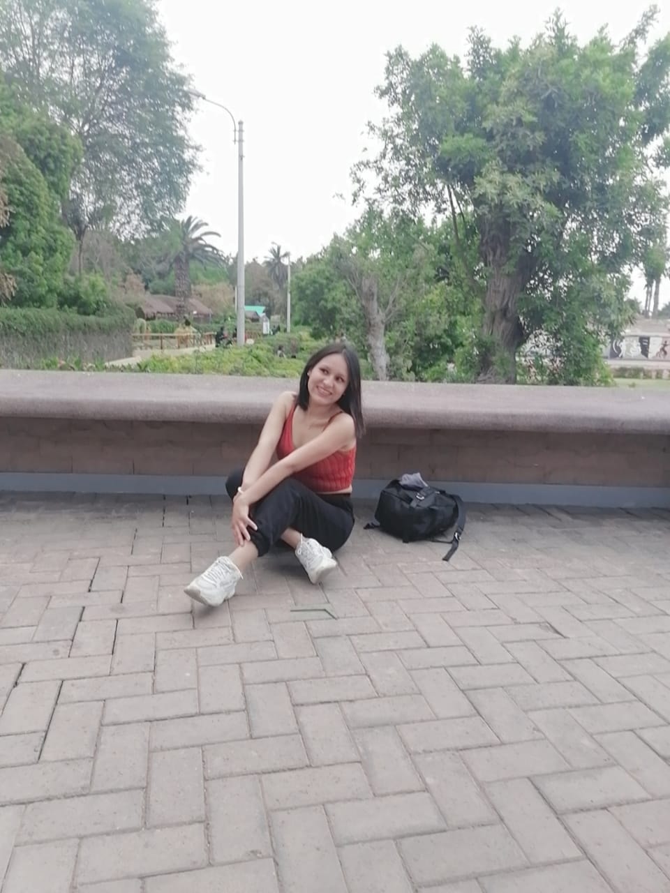 Diana Paola Huaman Huamani