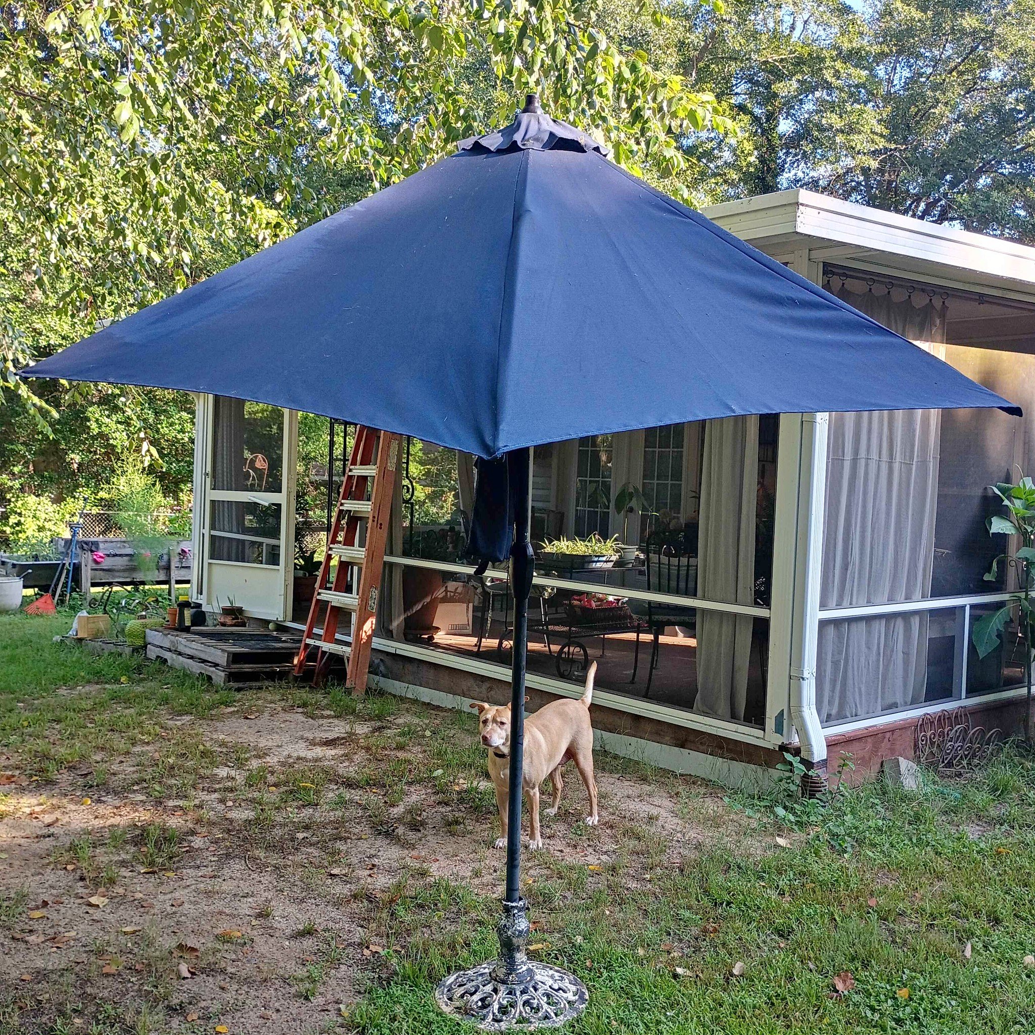 alabama patio umbrella The Lean canopy umbrella is built to last with the toughest construction to protect you against the elements all year long Signature Select 9Ft Market Umbrella