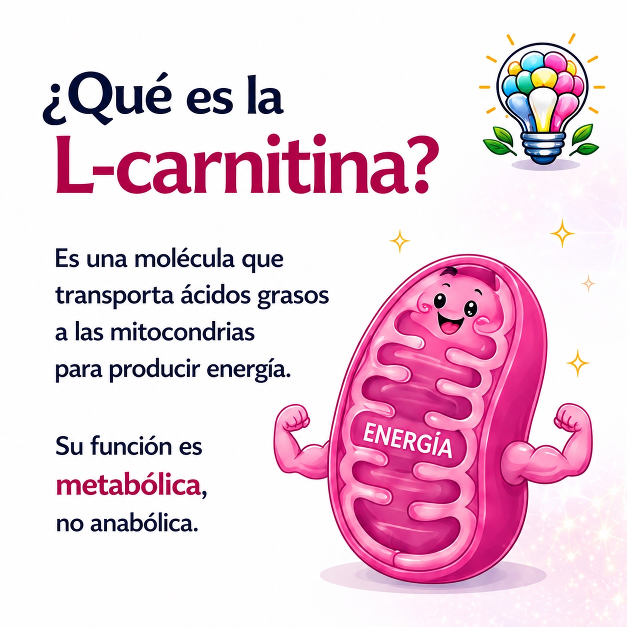 l carnitina dosis niños ➡️➡️➡️ La 𝐋-𝐜𝐚𝐫𝐧𝐢𝐭𝐢𝐧𝐚 𝐧𝐨 𝐞𝐬 𝐮𝐧 𝐞𝐬𝐭𝐢𝐦𝐮𝐥𝐚𝐧𝐭𝐞 𝐝𝐞𝐥 𝐚𝐩𝐞𝐭𝐢𝐭𝐨, 𝐧𝐨 𝐚𝐮𝐦𝐞𝐧𝐭𝐚 𝐥𝐚 𝐦𝐚𝐬𝐚 𝐦𝐮𝐬𝐜𝐮𝐥𝐚𝐫 𝐲 𝐧𝐨 𝐞𝐬𝐭𝐚́ 𝐢𝐧𝐝𝐢𝐜𝐚𝐝𝐚 𝐩𝐚𝐫𝐚 𝐭𝐫𝐚𝐭𝐚𝐫 𝐞𝐥 𝐛𝐚𝐣𝐨 𝐩𝐞𝐬𝐨 𝐞𝐧 𝐧𝐢𝐧̃𝐨𝐬 Explore Capital One Internships Cloth Diaper YMAL Grams:30g