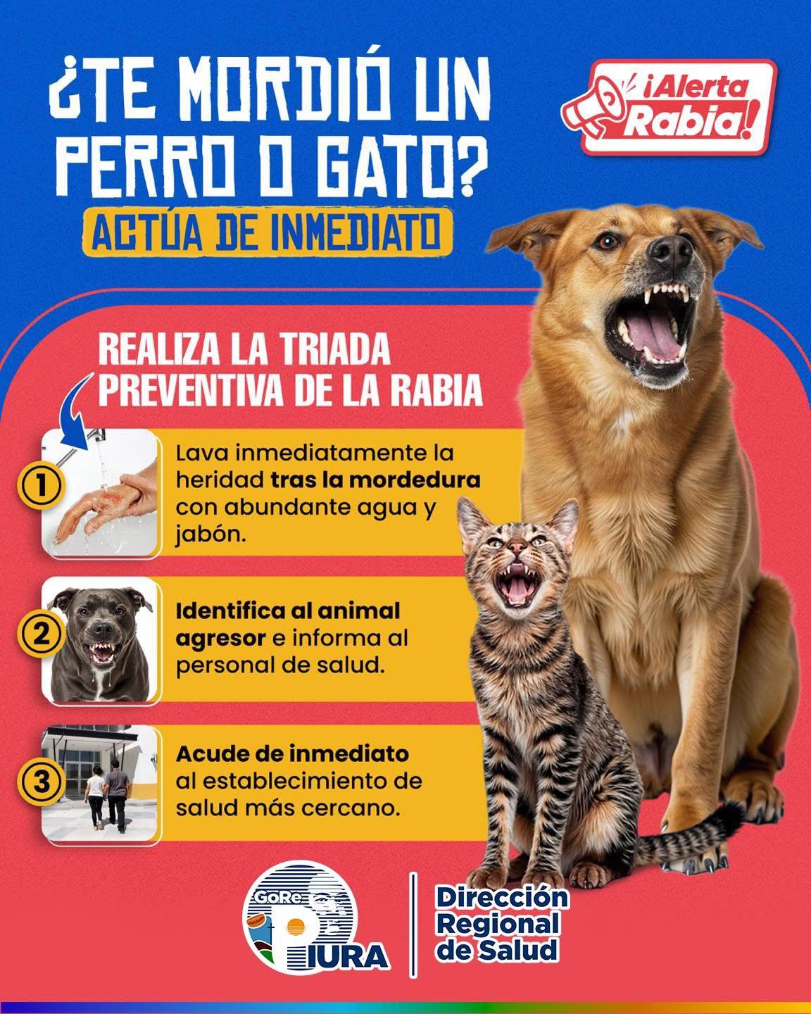 Hospital - 🔵 #AlertaRabia | 📣 Aprende qué hacer ante la mordedura de un ...