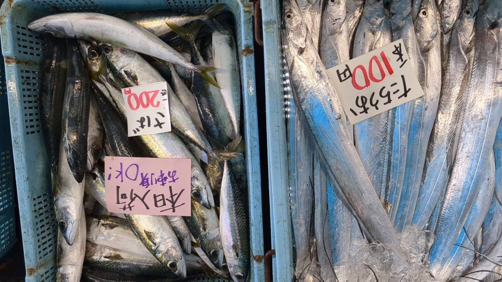 さかなや 水嶋鮮魚店 | Maizuru-shi Kyoto