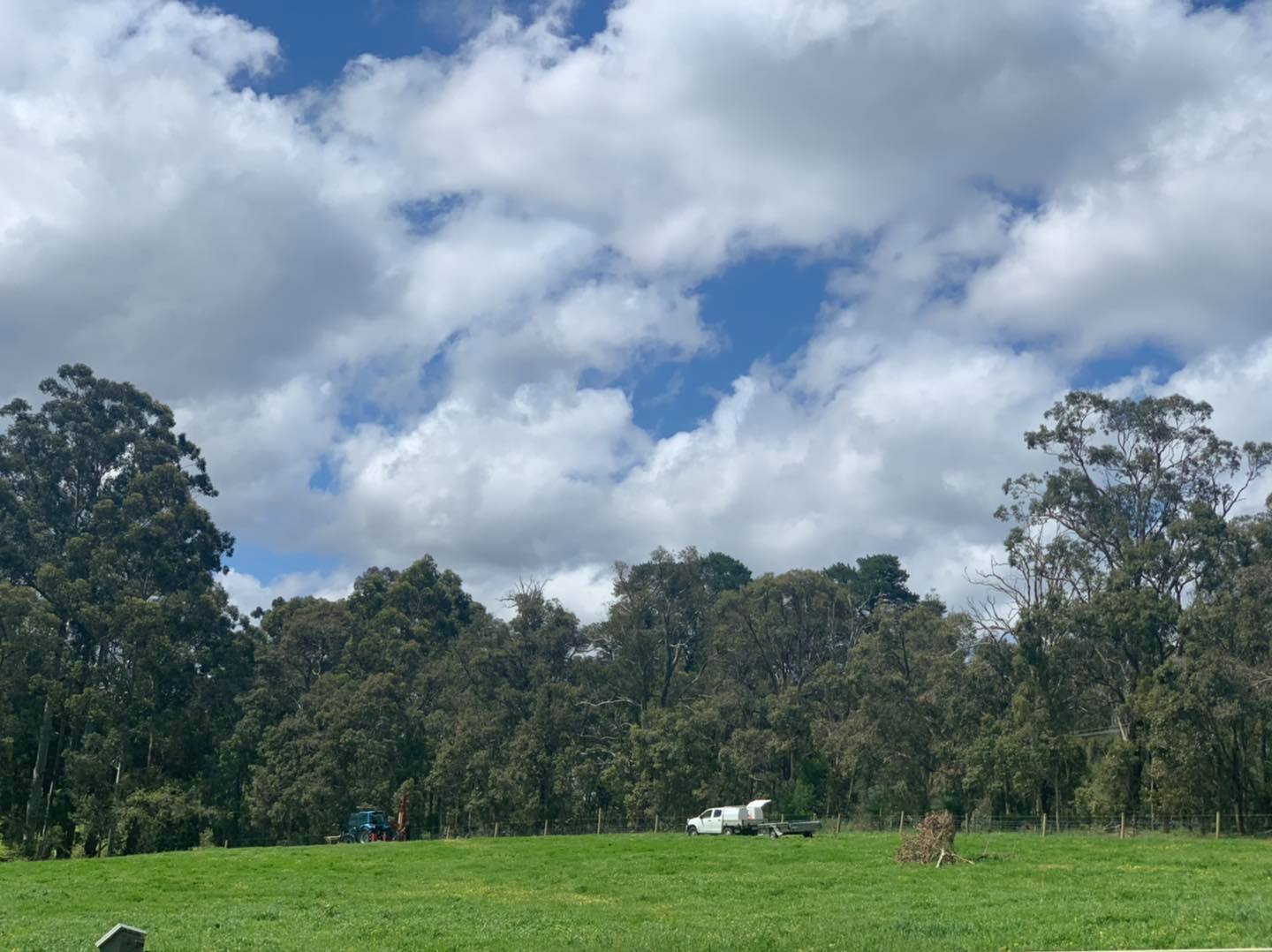 Fraser's Ridge Equestrian Estate