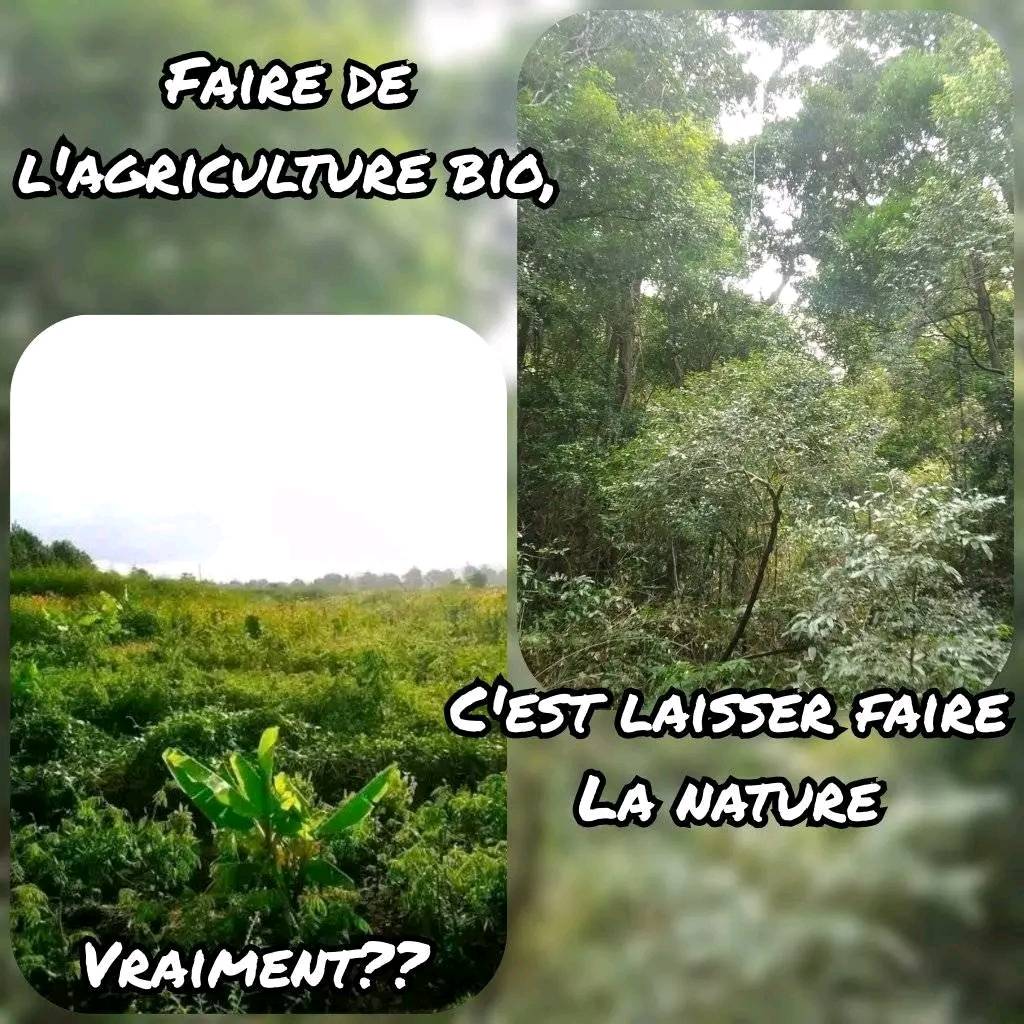Flo - Faire du bio, c'est laisser faire. Un préjugé qui a la vie dure ...