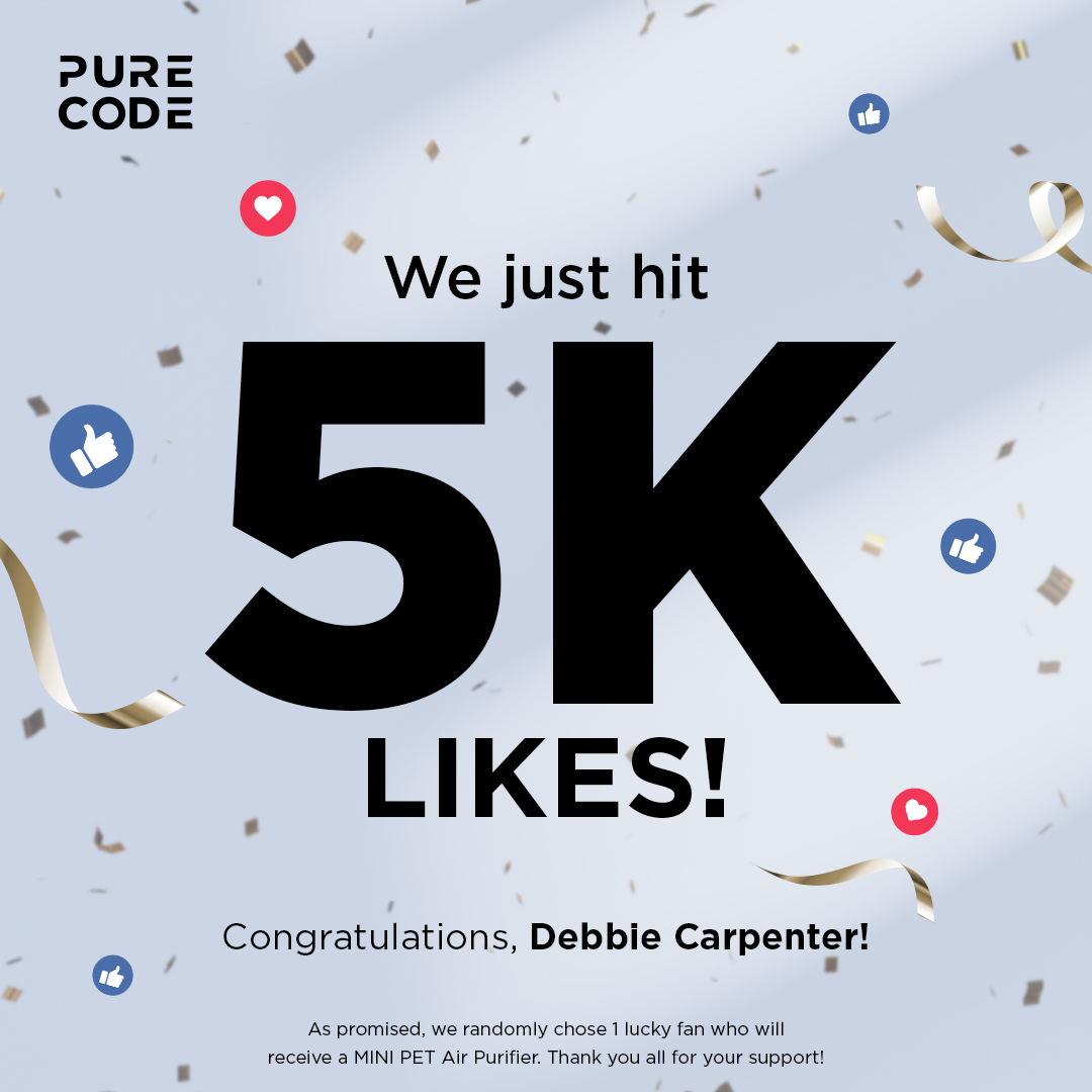 Pure Code Lifestyle