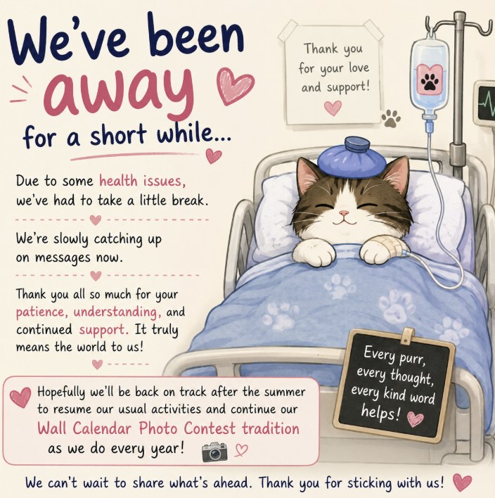 The Love Cats ♡ページ Love CATS (@official.LoveCATS) • Facebook