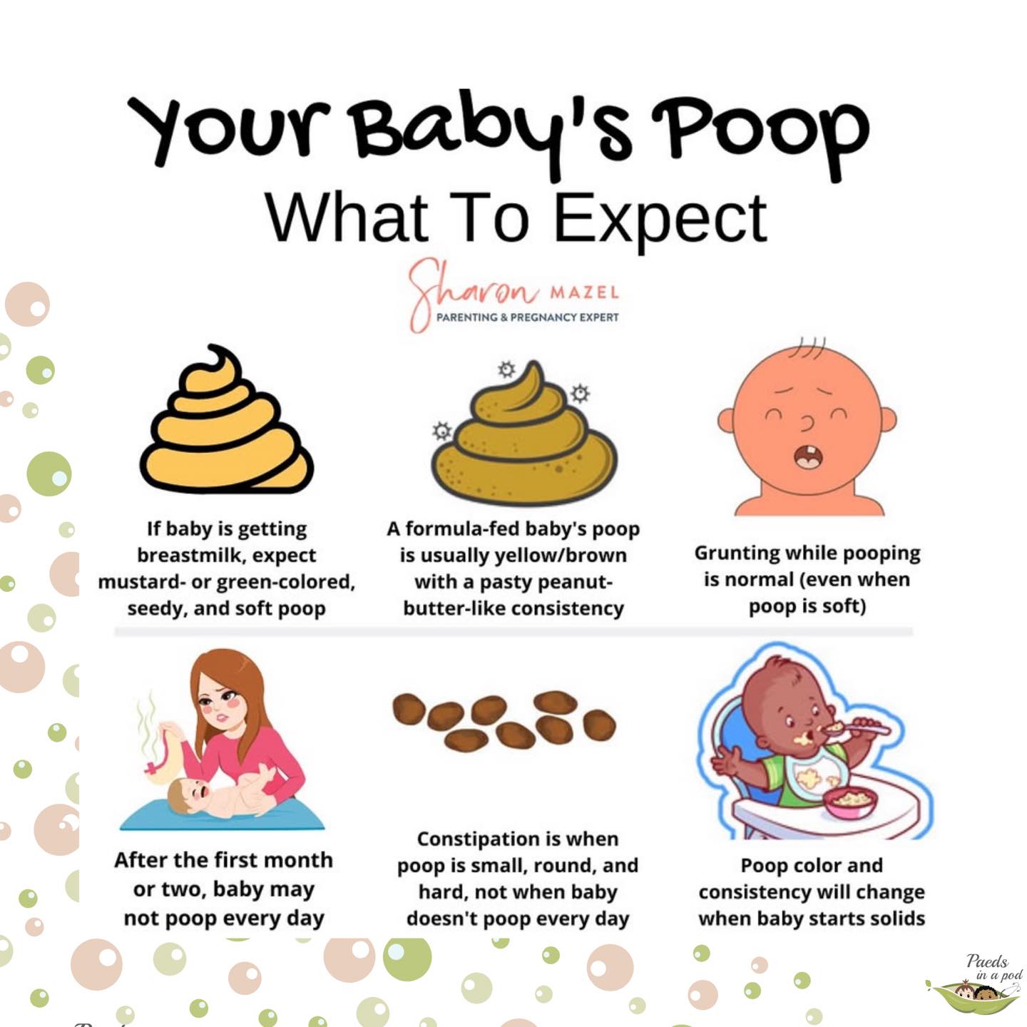 Paeds in a pod Wellness... - Paeds in a pod Wellness Centre