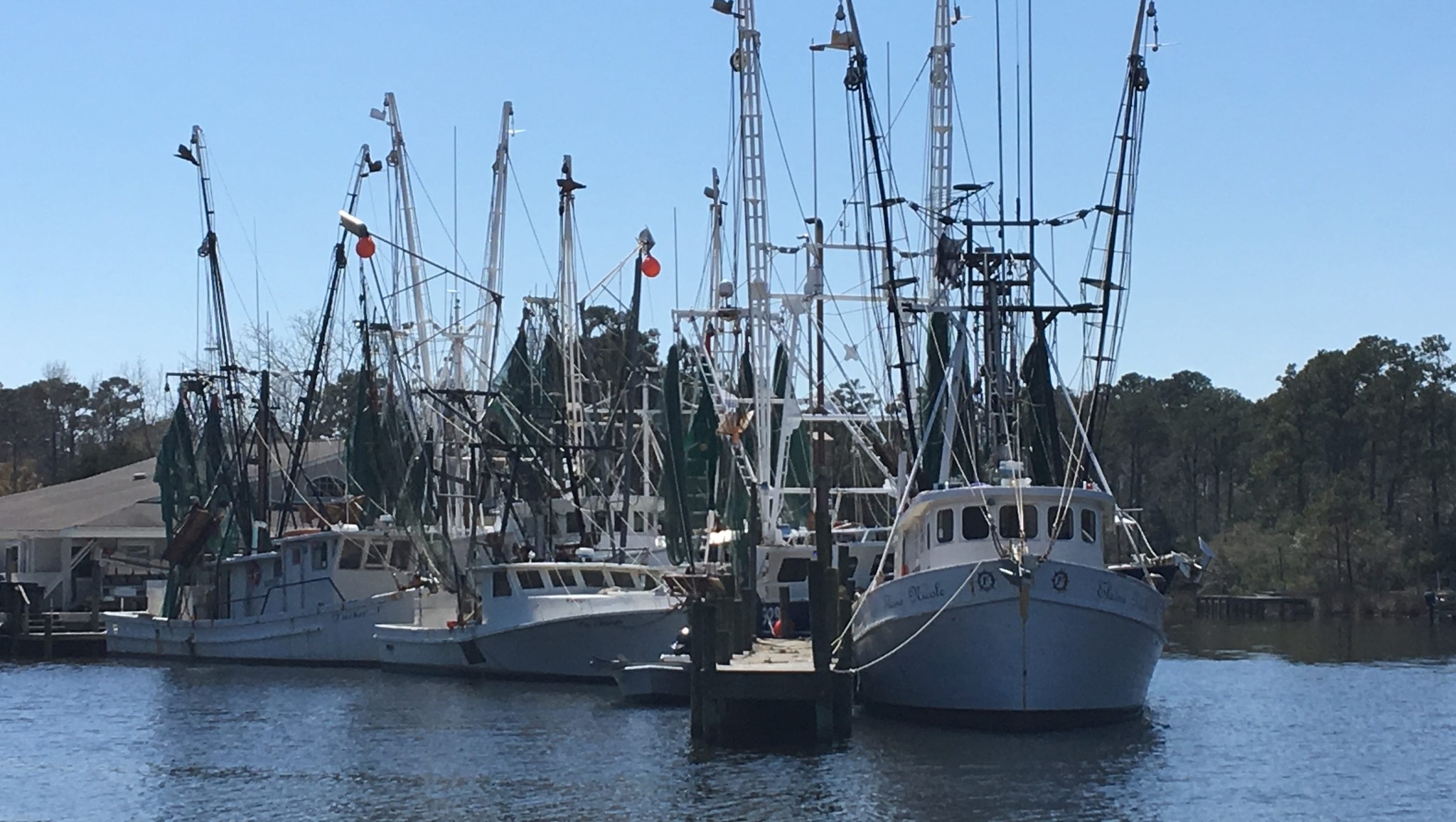 StarNews - A conservation group is suing the state, claiming it has ...