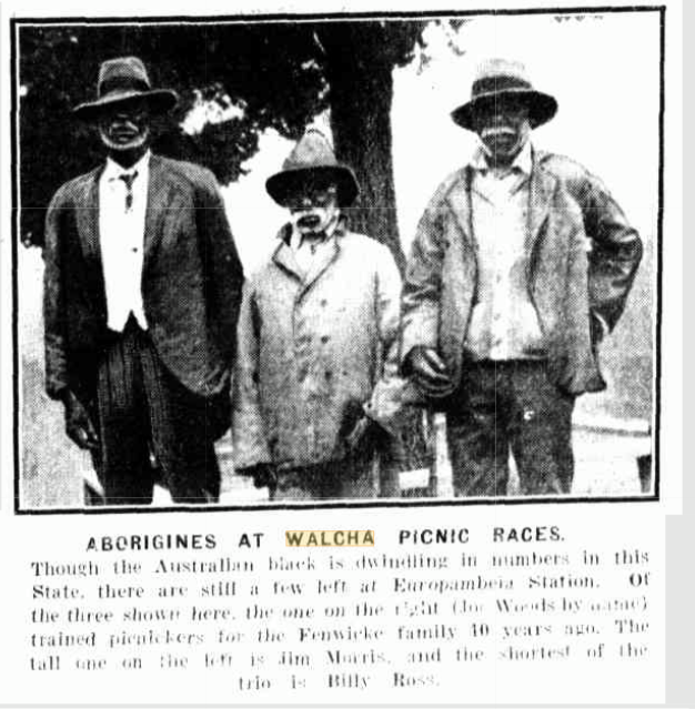 I have been to the UNE Heritage Centre (archives) in Armidale last week ...