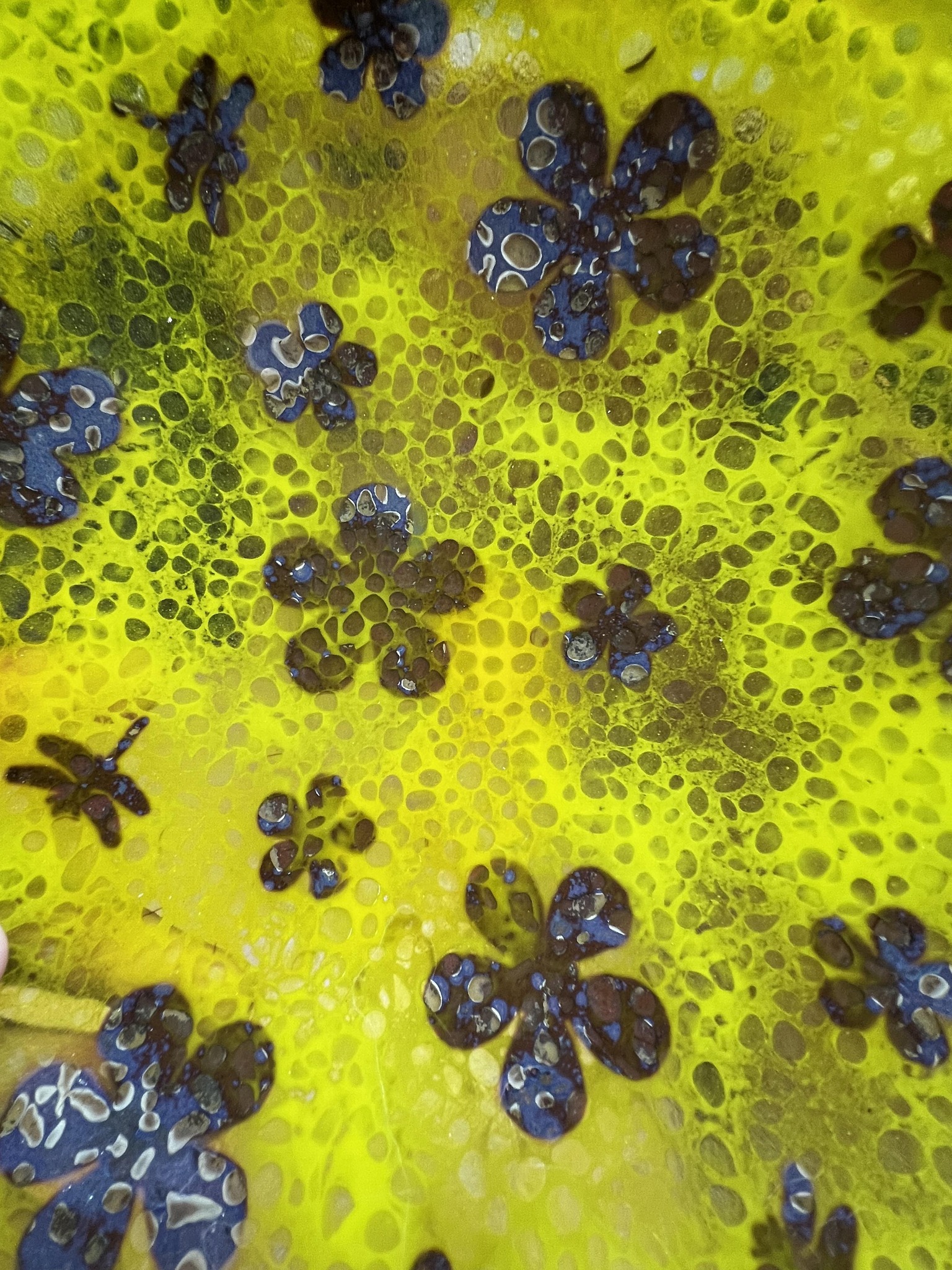 Nancy Bisson, artist