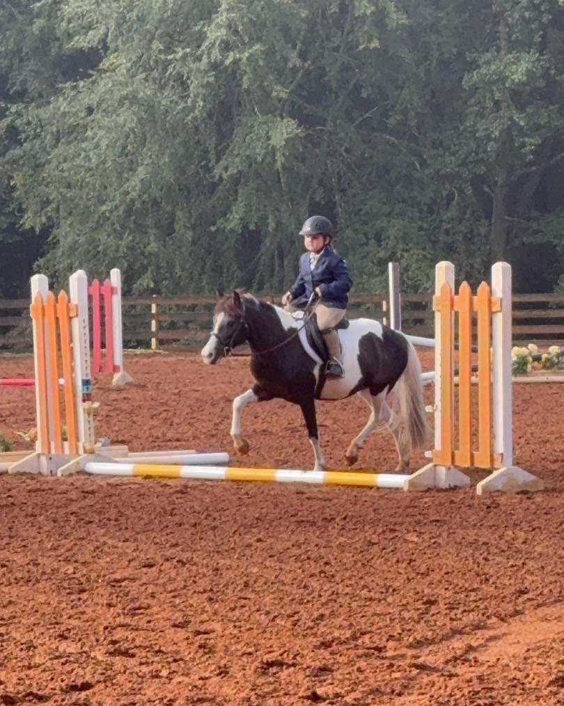 Southern Cross... - Southern Cross Equestrian Center LLC