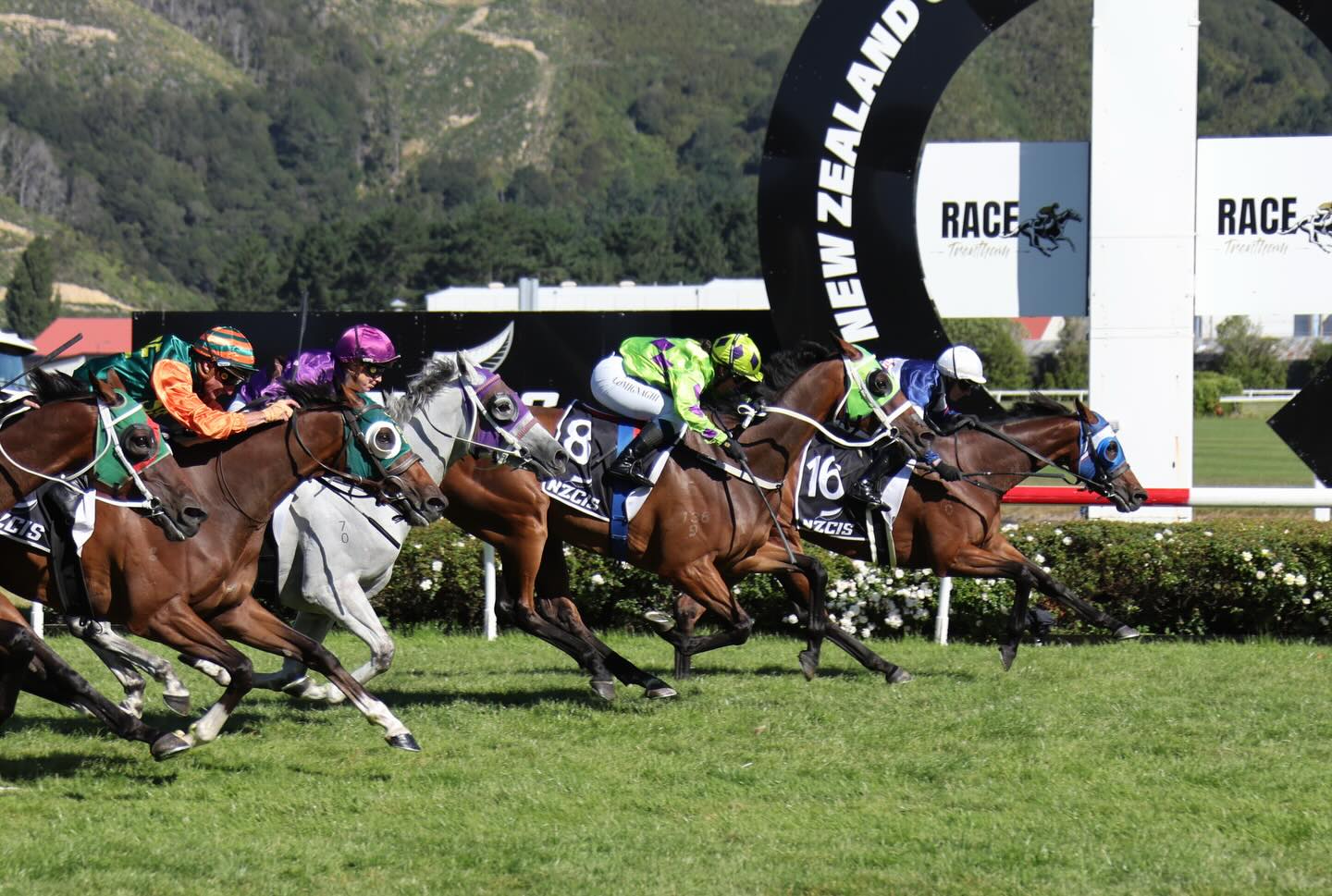 🏆 HISTORY MADE 🏆 Manzor Blue was... - Lisa Latta Racing | Facebook