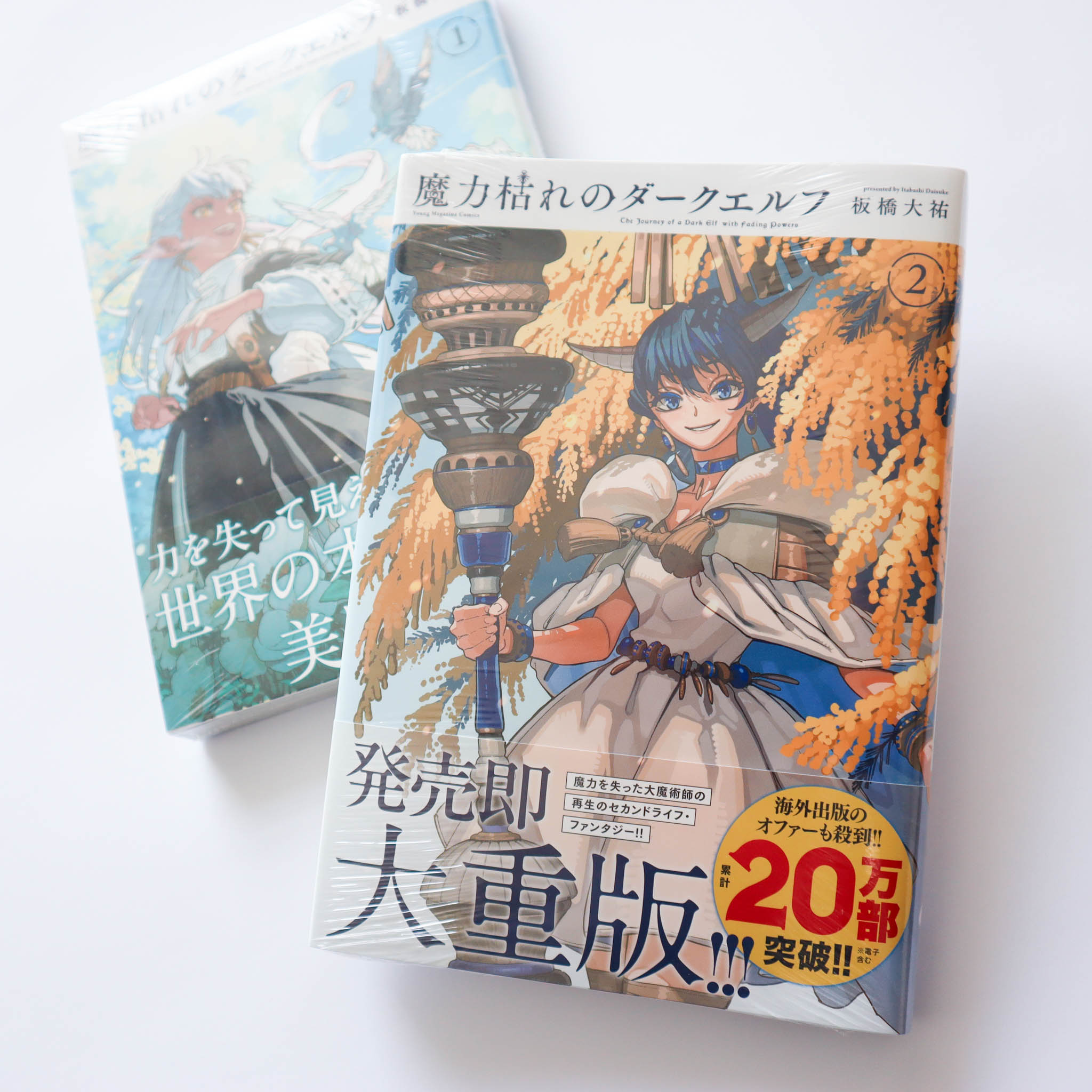 NewArrival The Ancient Magus Bride Anime Official Complete Book