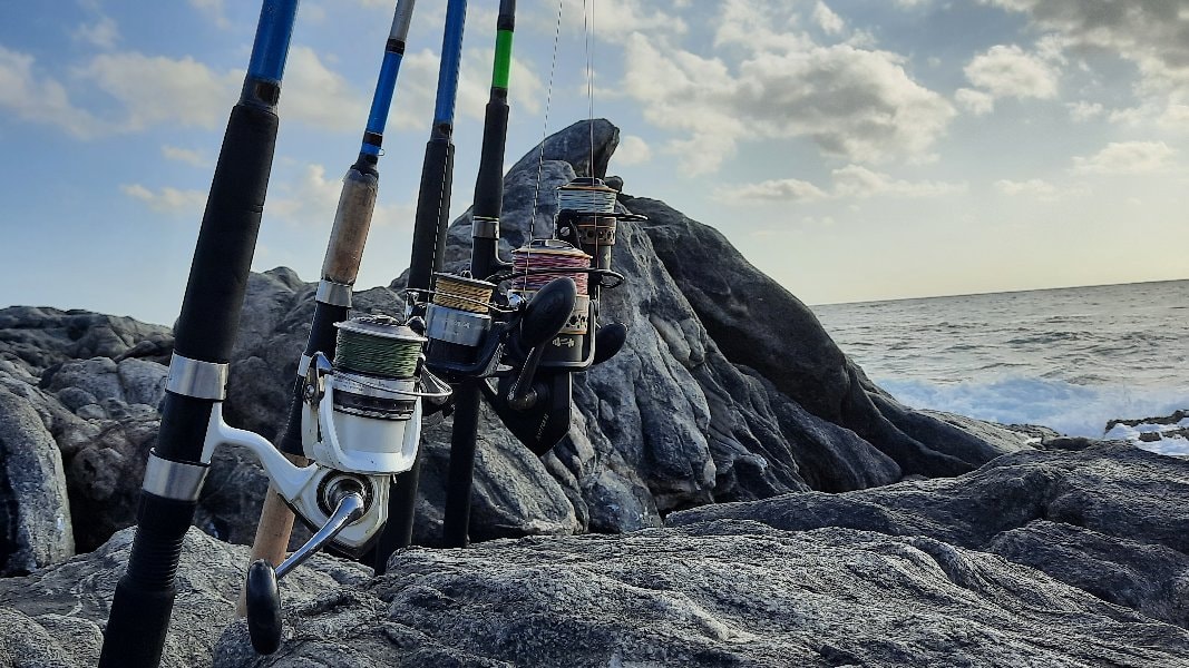 Fishing MIND