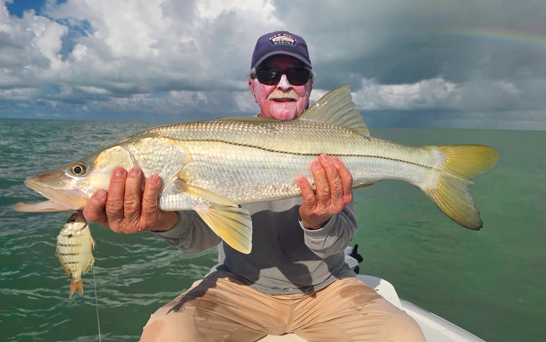 Quality Snook caught and released after a quick picture in
