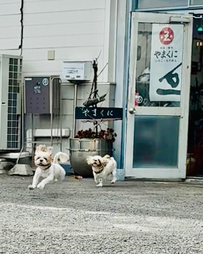 お世話になっている 陶芸家の小野哲平さん、早川ユミさんの次男 鯛くん