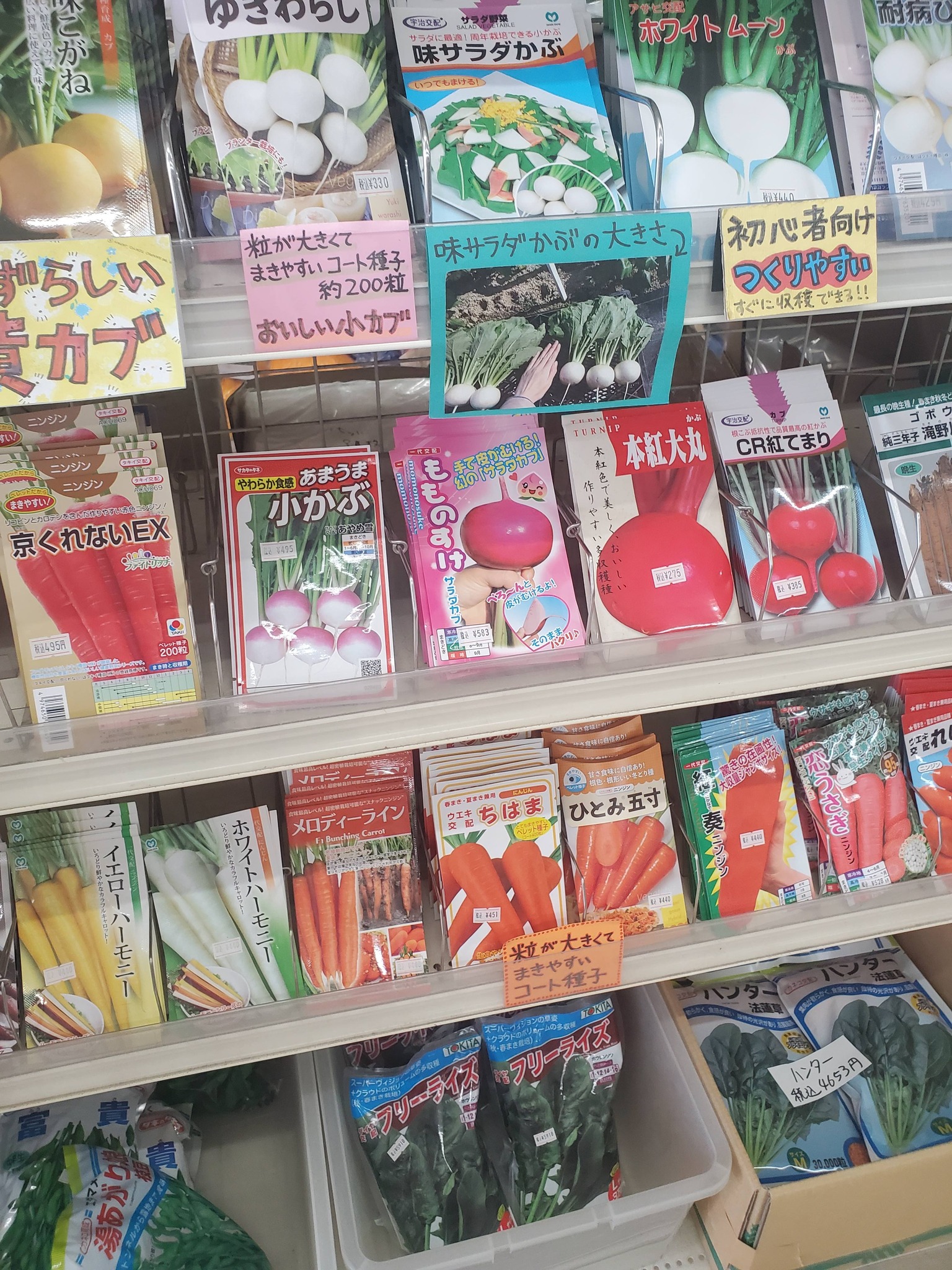 2026年の秋種が入荷しました。 これから冬に向けて栽培する野菜の種