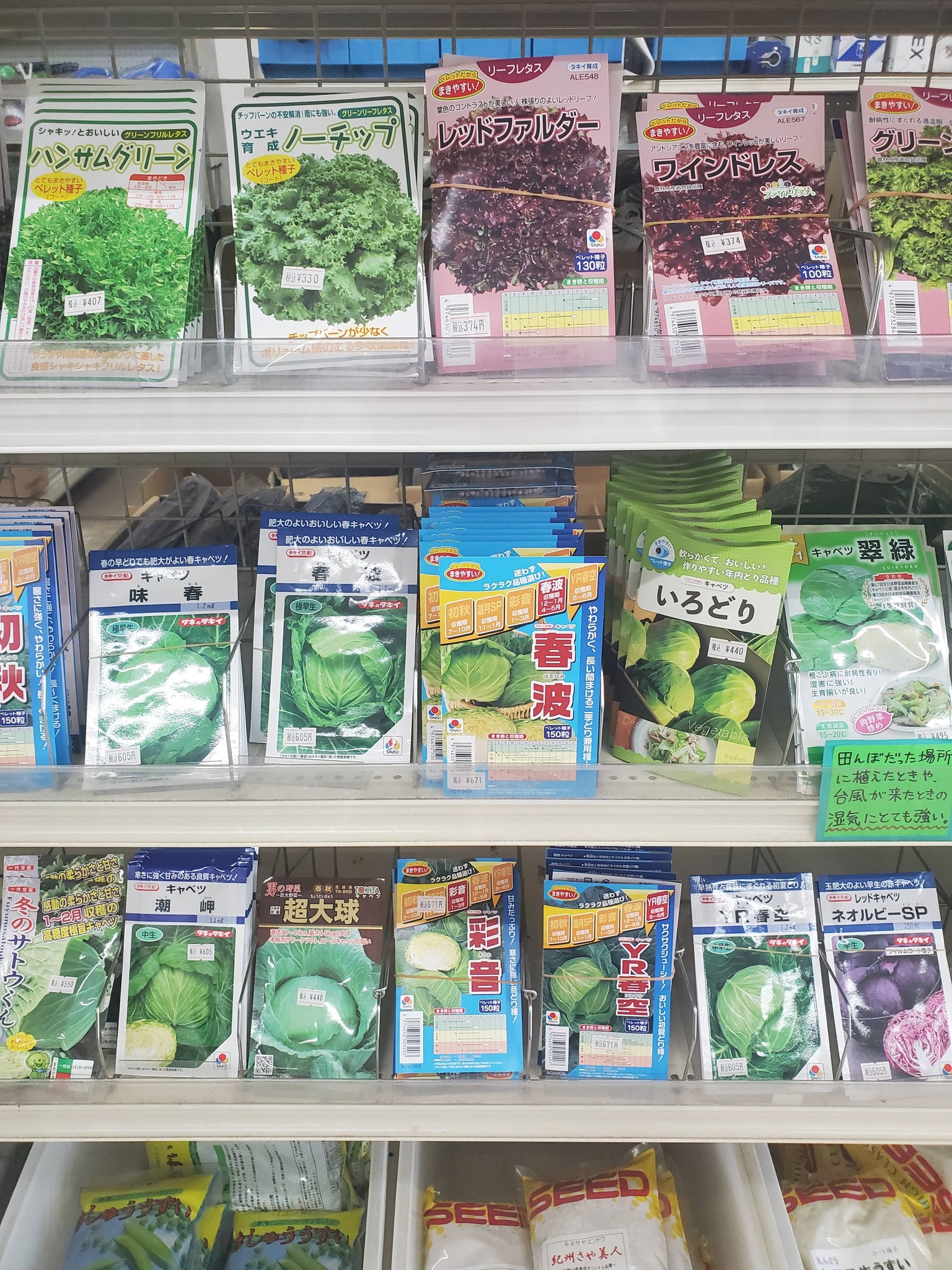 2026年の秋種が入荷しました。 これから冬に向けて栽培する野菜の種