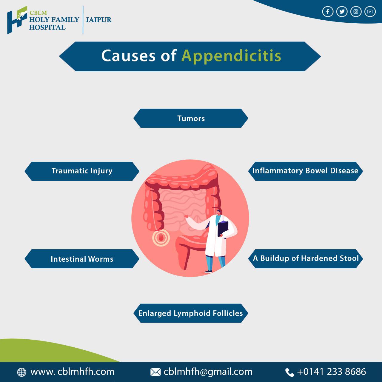 CBLM - The appendix is a small tube-shaped organ attached to the large ...