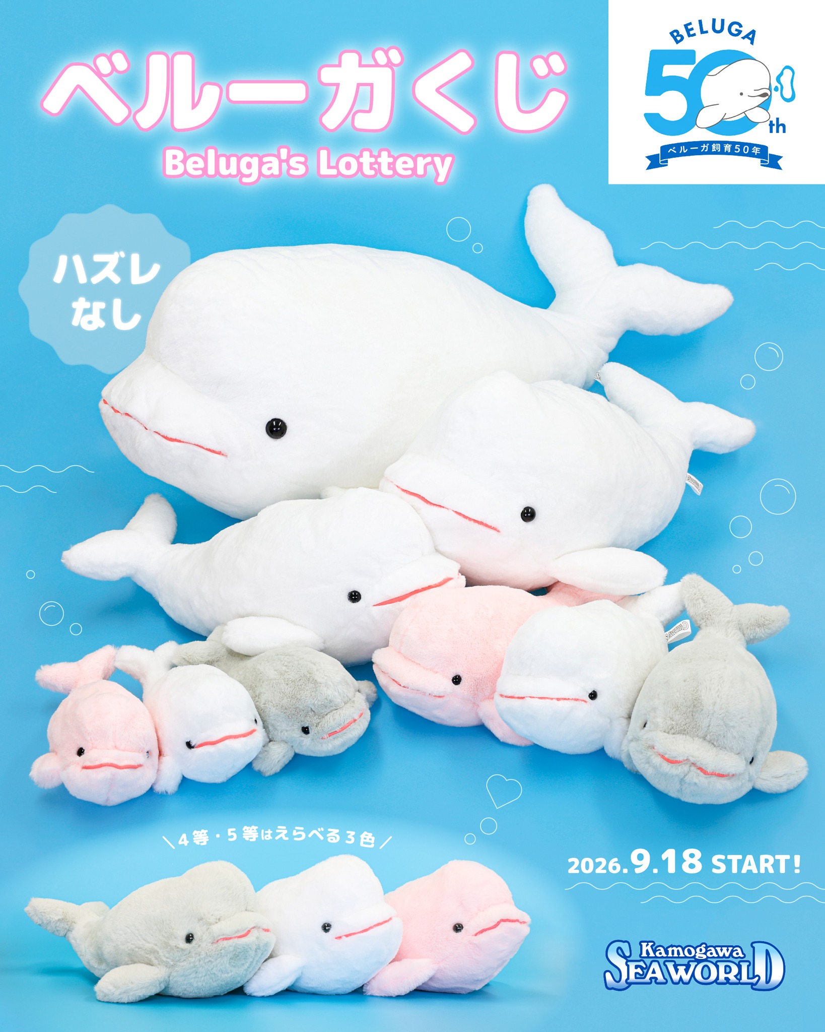 ハズレなし！で大人気のぬいぐるみくじ「シャチくじ」に登場している1
