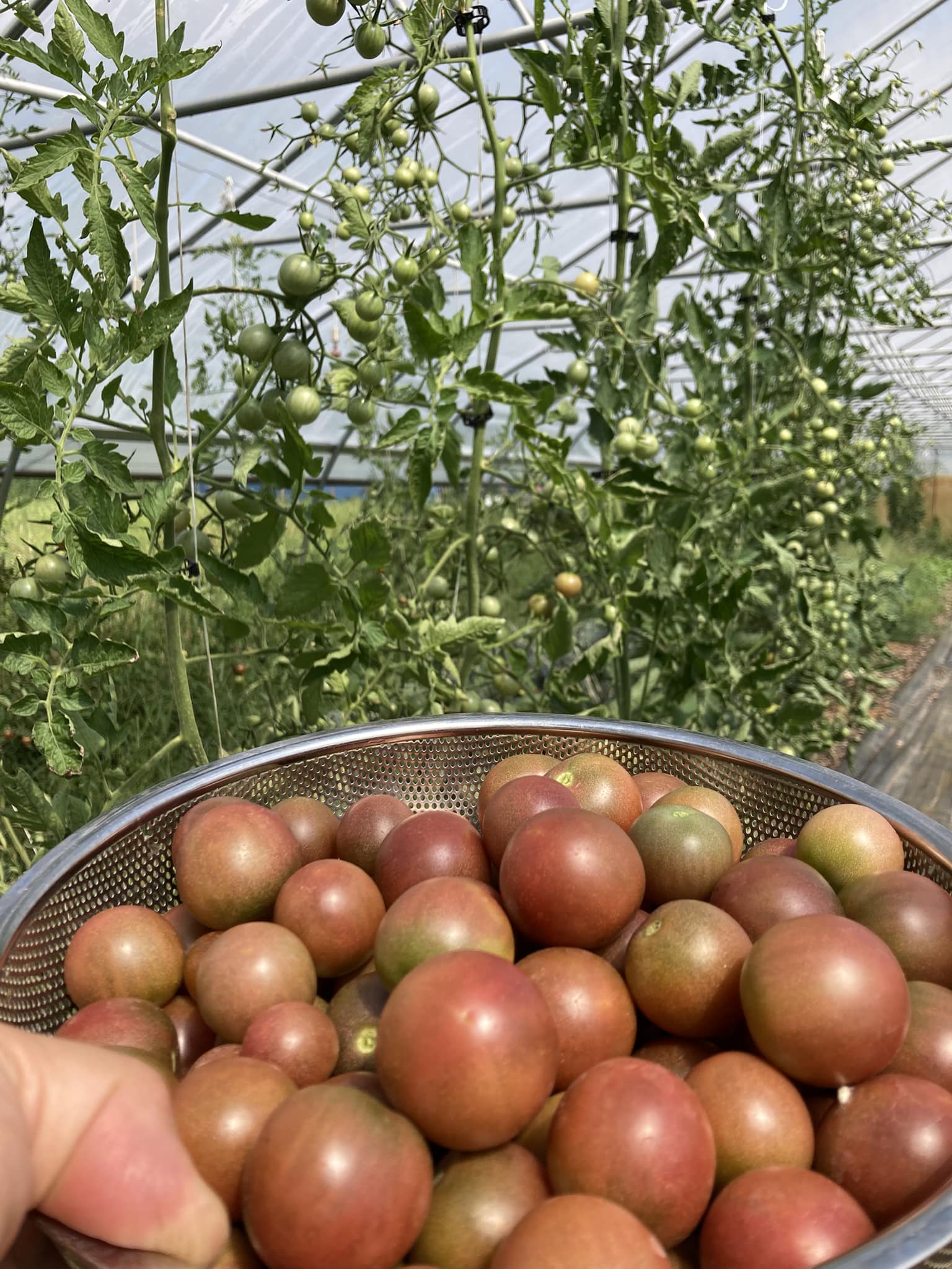 Native Roots Farm | Wanatah IN