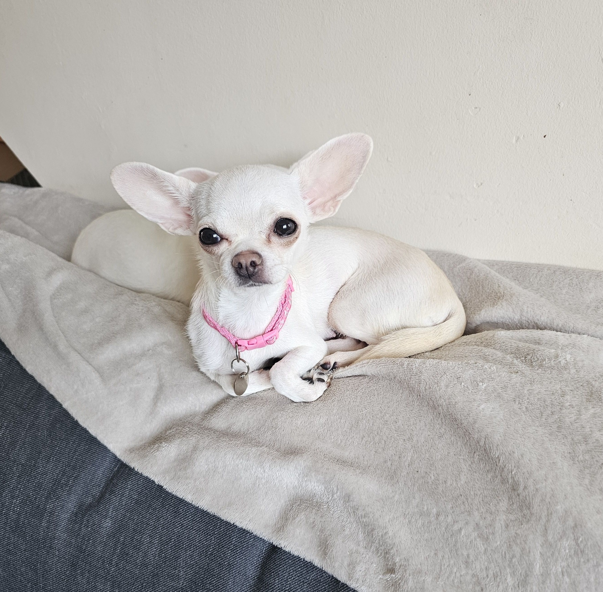Luna can start looking for her best match. Her criteria, location