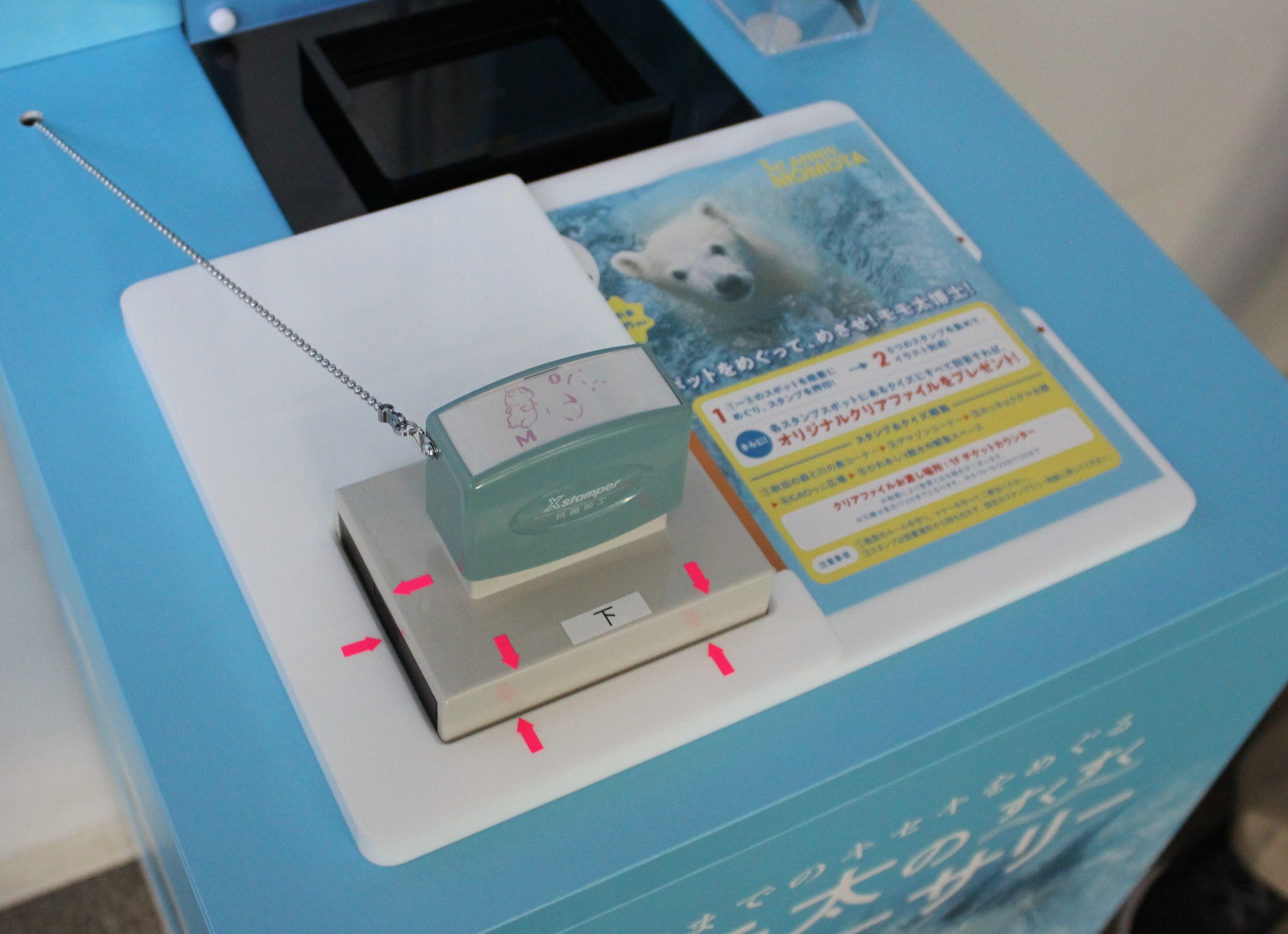男鹿水族館GAO - 【ホッキョクグマ豪太 交通安全特別大使に任命