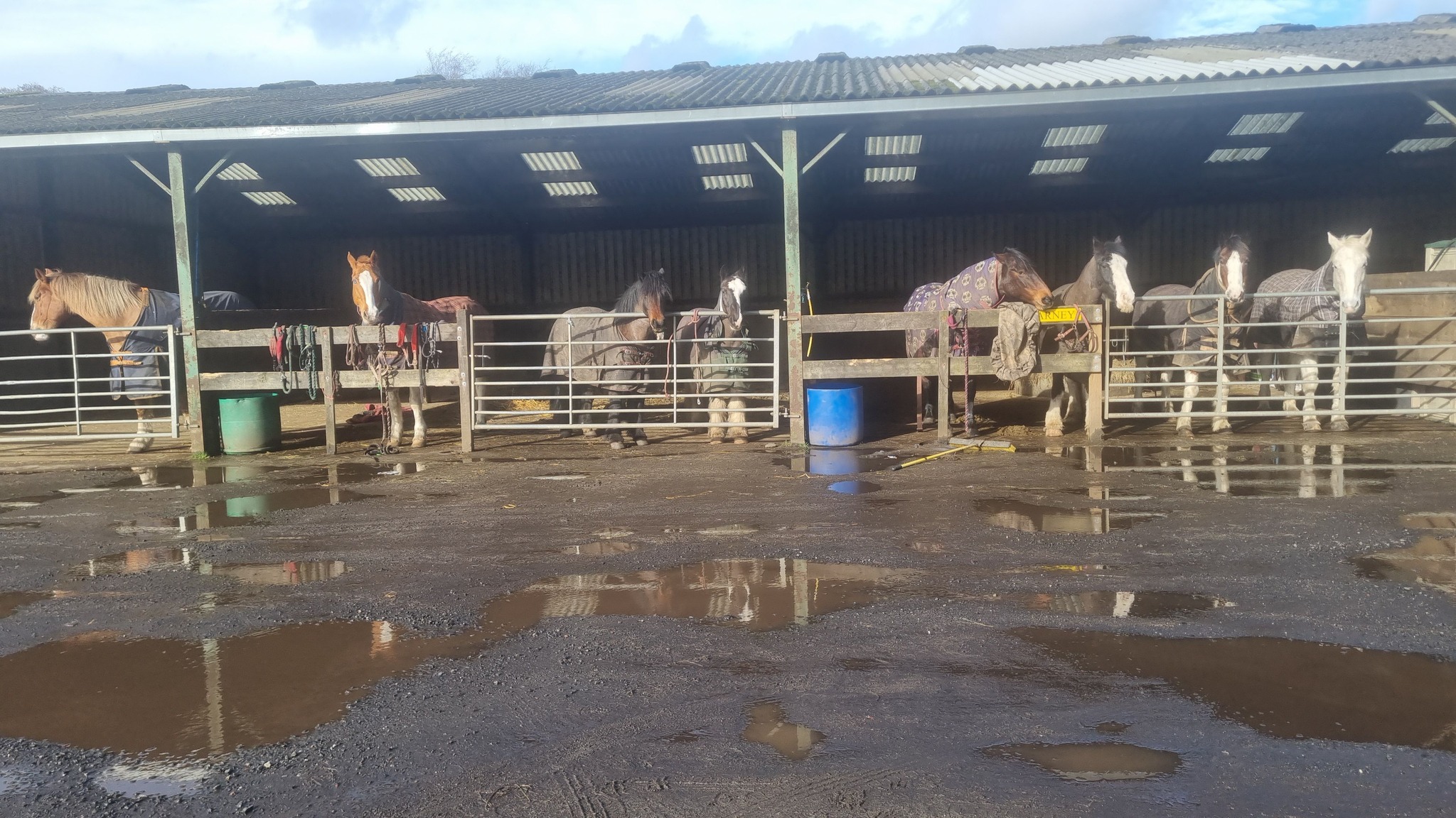 Woodend Riding Centre | Kilsyth