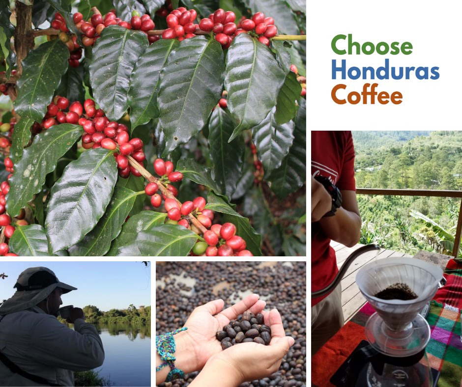 Choose Honduras - Coffee lover's worldwide, today we join in ...