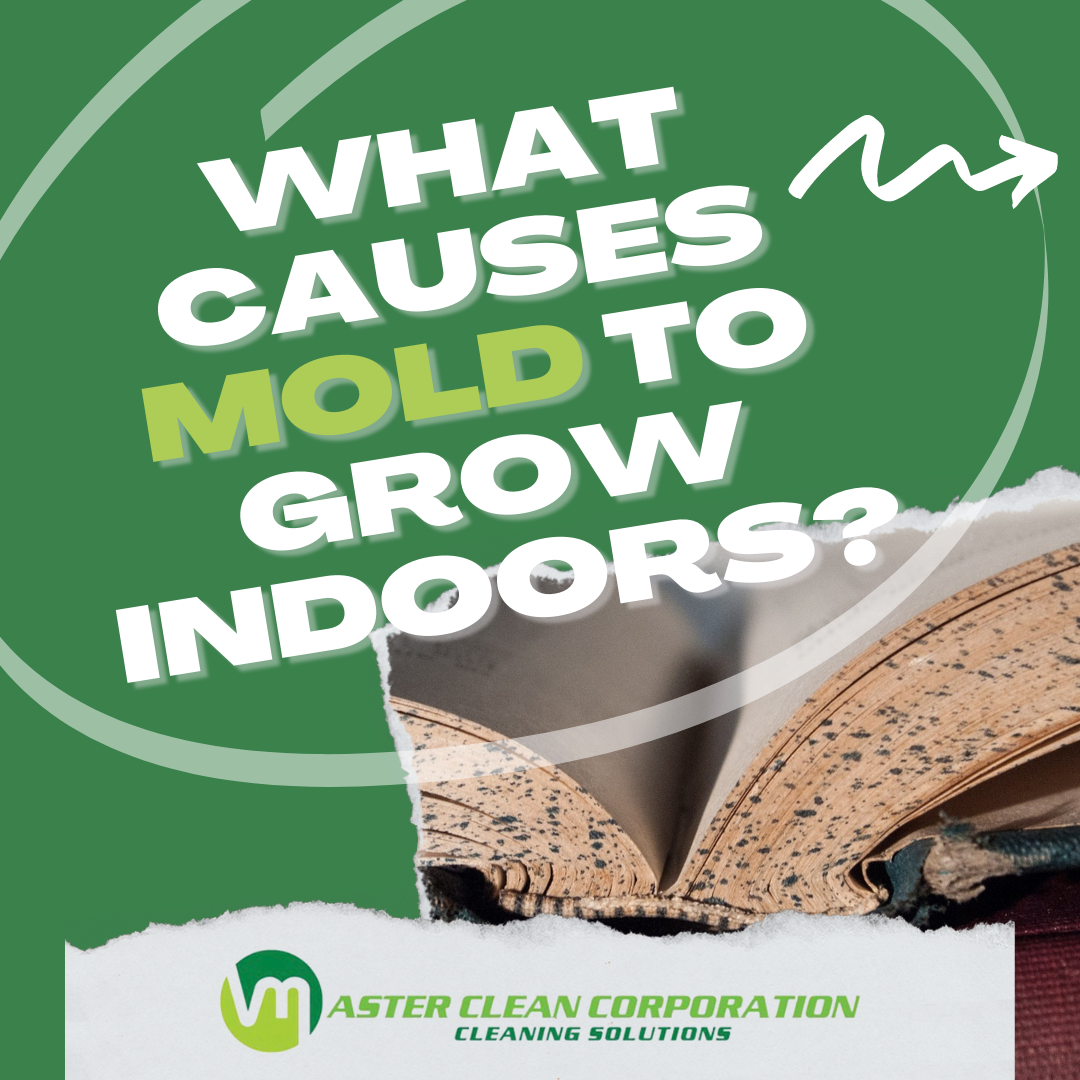 Master Clean Corporation | Topsfield MA