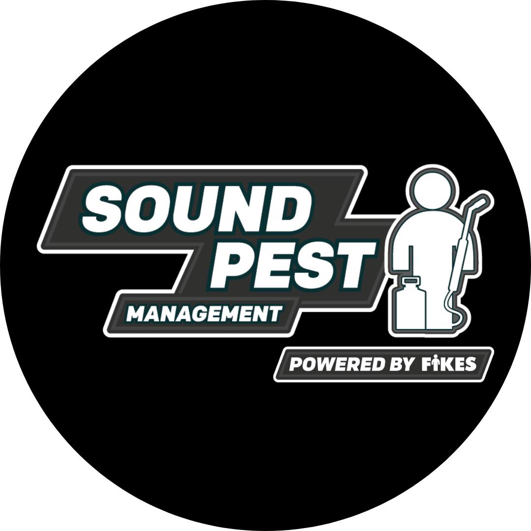 Most pest problems on a home's exterior start at the roofline. Wasps ...