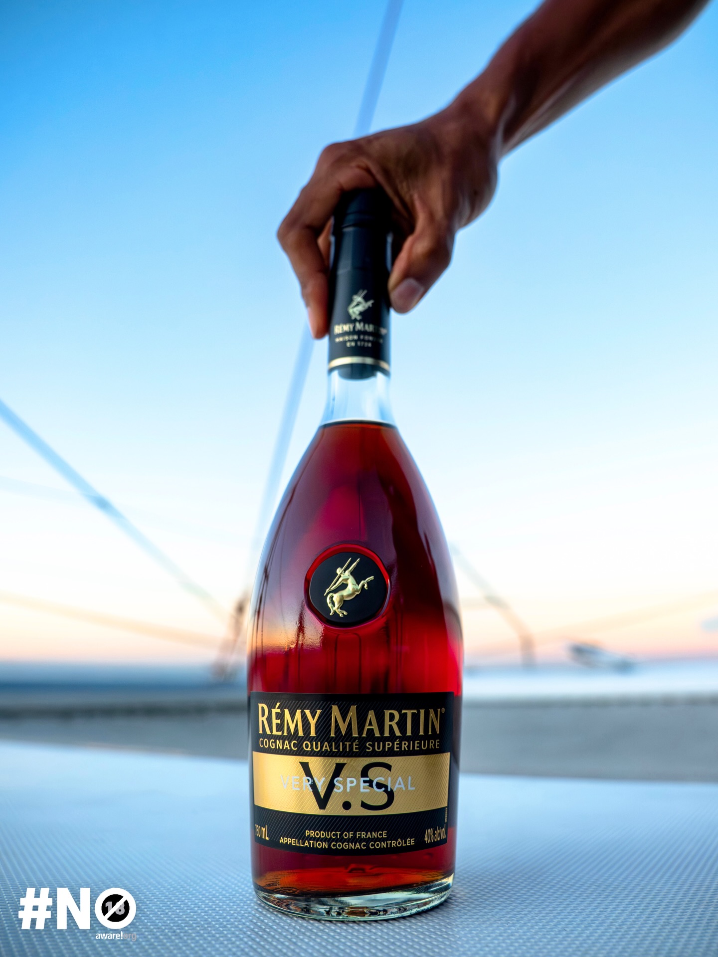REMY MARTIN SUPÉRIEUR ブランデー A night of culture, conversation, and celebration 🥂✨ The Rémy