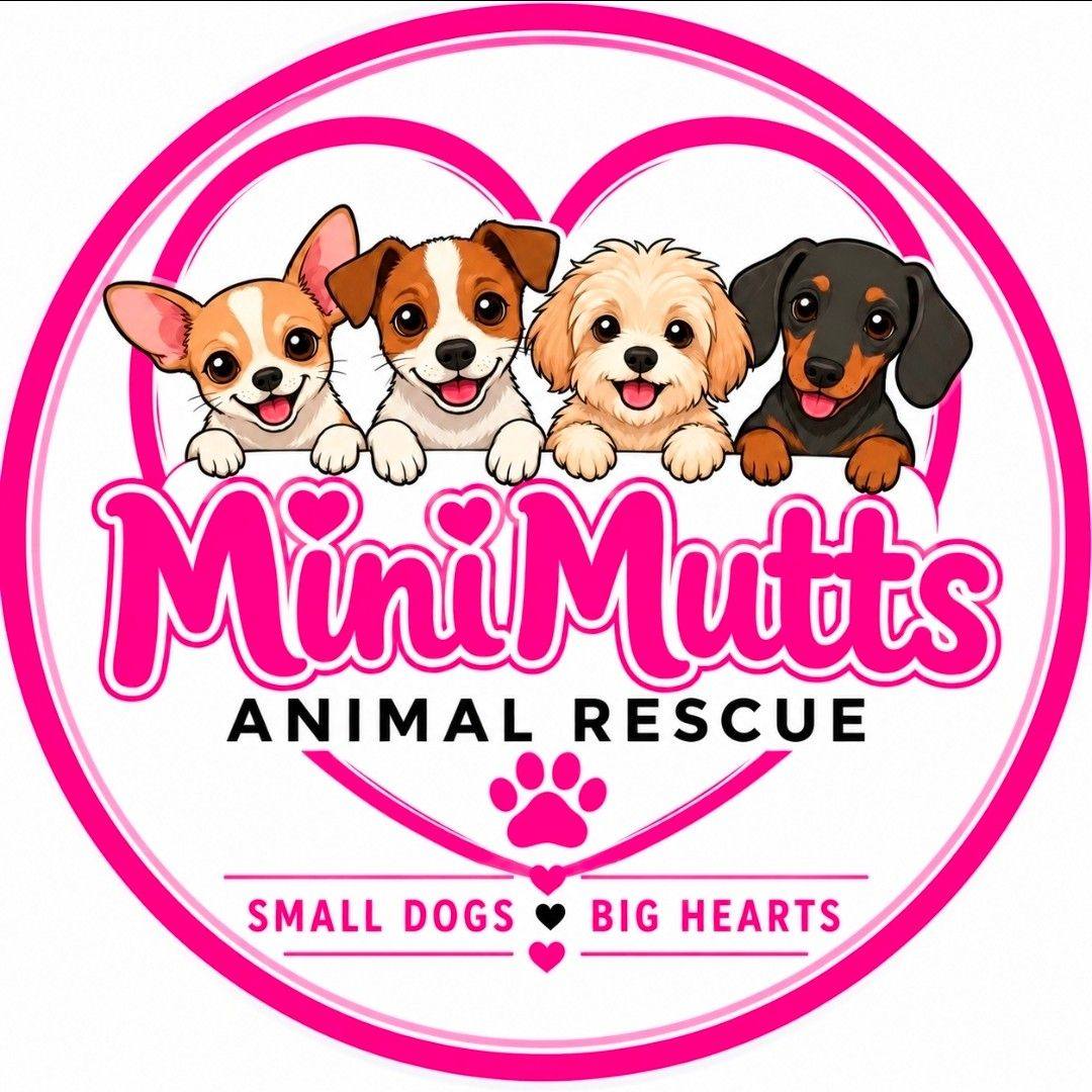 MEET BROGAN!🩵 Brogan’s... - Mini Mutts Animal Rescue | Facebook