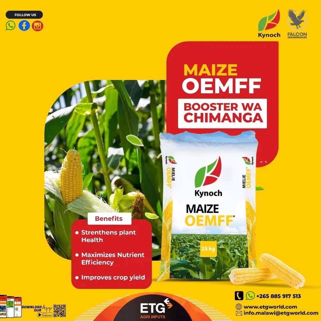 🌽 BOOST YOUR MAIZE YIELDS WITH... - ETG Agri Inputs Malawi | Facebook