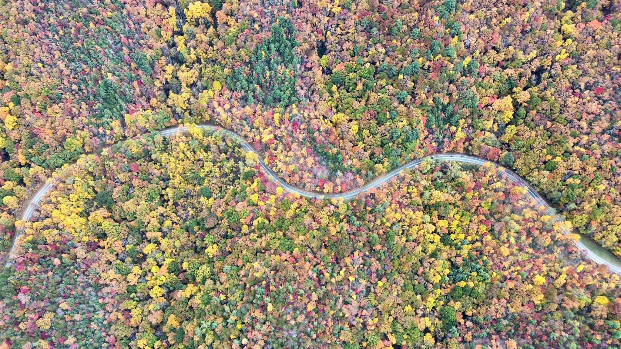 Visit - 🍁 The colors are cascading down the Skyway! Currently, the ...