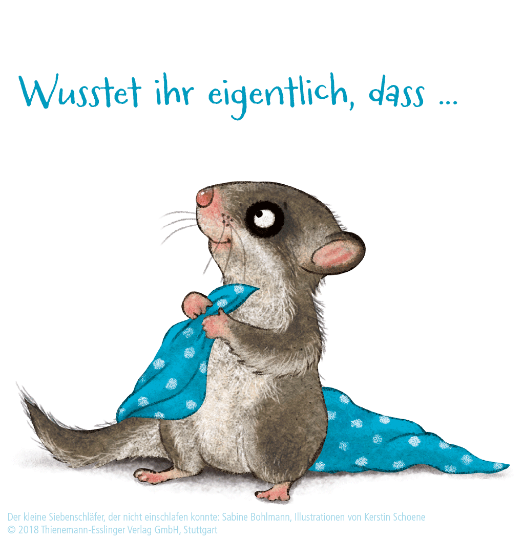 Das Siebenschlafer Ein Fast Der Kleine Siebenschlafer Facebook