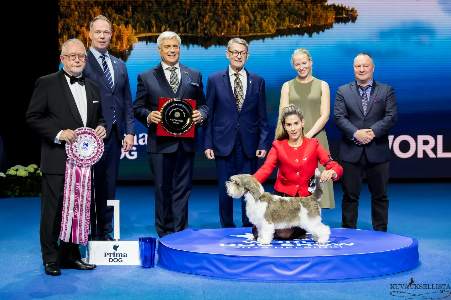 10 groups 1 best in show at... - Kuvauksellista photography | Facebook