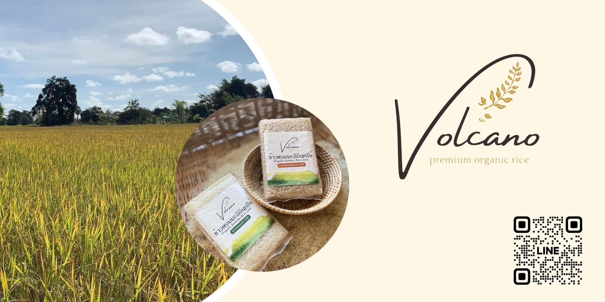 Volcano Premium Organic Rice - ข้าวอินทรีย์ปลอดสารเคมี 100%