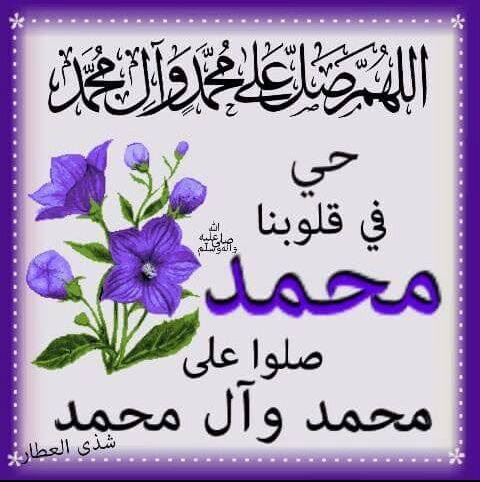 اللهم صلي على محمد وال محمد وعجل فرجهم وجعلنه من انصاره قال الرضا عليه الصلاة و السلام الصلاة على محمد و آله تعدل عند الله عز وجل التسبيح و التهليل