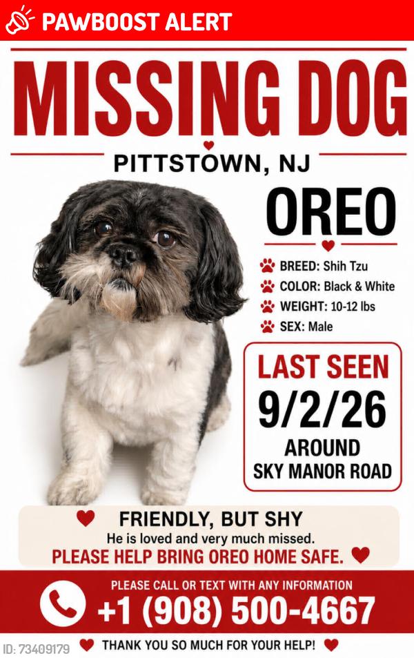 Lost Shih Tzu dog Oreo in Franklin Township, NJ