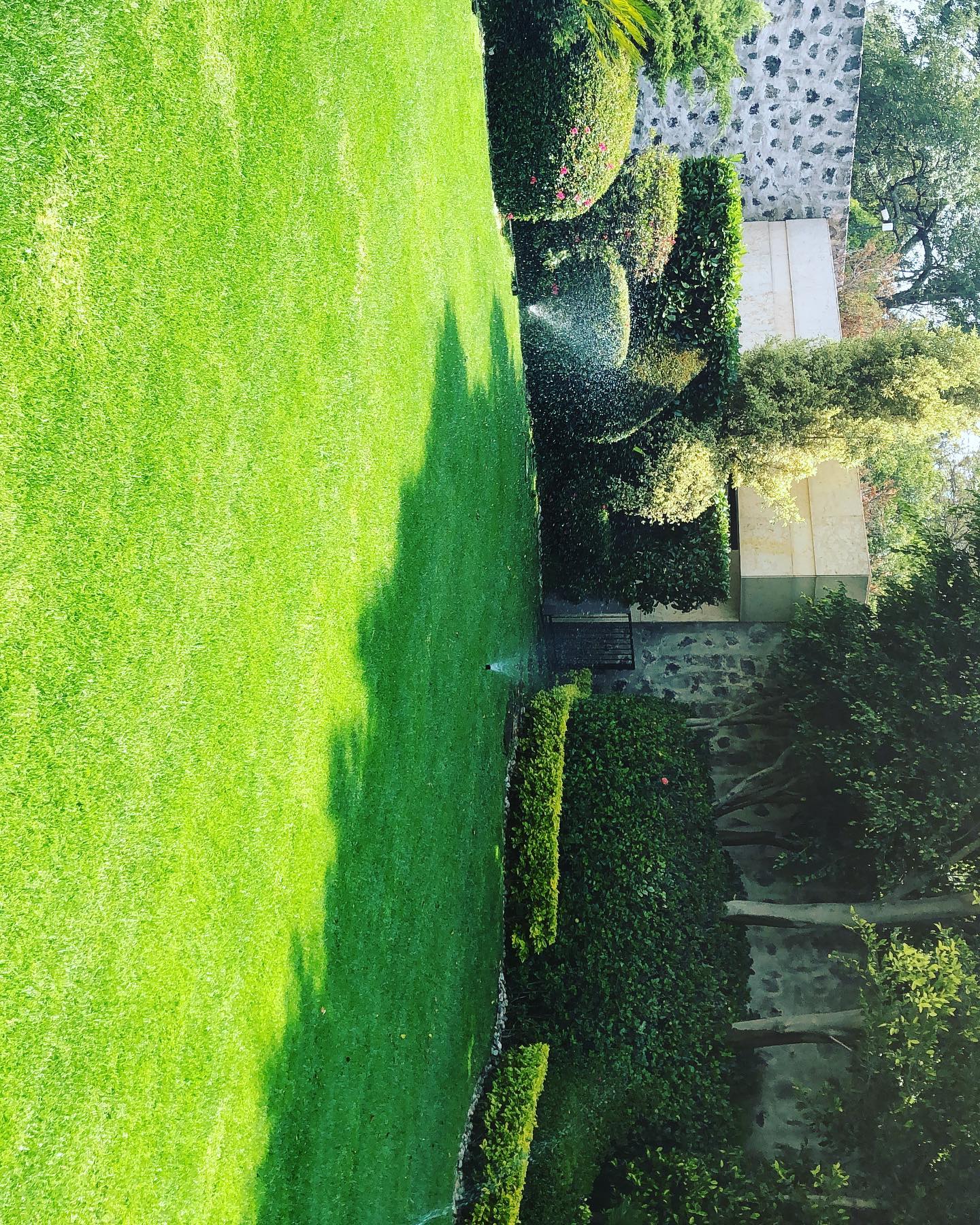 Jardinería, Ortega | Mexico City