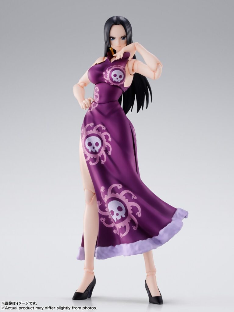 草帽本舖- [4530430264995]「VIVRE CARD～ONE PIECE図鑑～」オリジナル