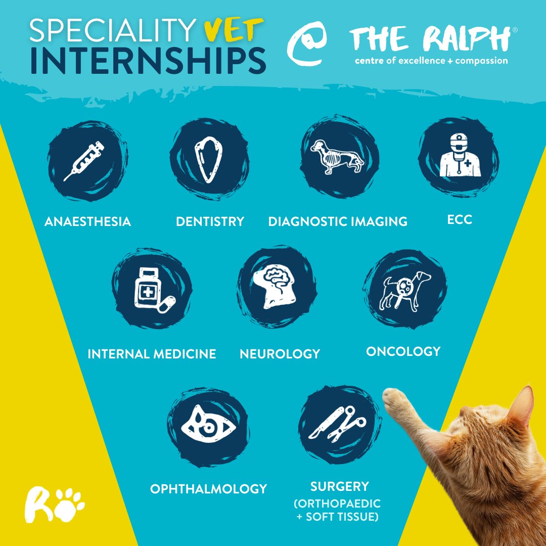 The Ralph - SPECIALITY VETERINARY INTERNSHIPS IN 2026! 🐾👏🏽 Ready to ...